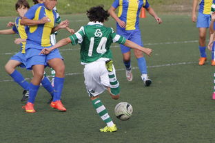 MILAN SPORTS中国站-中国足球体能与赛程匹配度研究,国家足球队体能标准 第4张 MILAN SPORTS中国站-中国足球体能与赛程匹配度研究,国家足球队体能标准 第4张